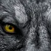 clintshepherd5 - @clintshepherd5 - TikTok