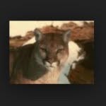 Clint Small Popular Kids Here - @clintsmall_popular_kids - Instagram