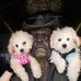 Clinton Sorrell - Facebook