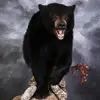 clintspangler338 - @clints.outdoorlife.llc - TikTok