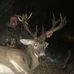 Clint Spivey - Facebook