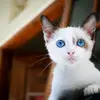 ClintC.Stanley - @clintc.stanley - TikTok
