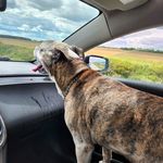 Clinton Staples - @clintonstaples - Instagram