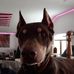 Clint Steerman - Facebook