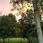 Clint Stephenson - @cidersurfer78 - Instagram