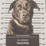 Clint Stephenson - @trooper_205 - Instagram