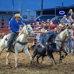 Clint Thomas - @thomas_cattle_co_ - Instagram