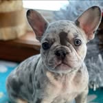 Clint Wagner - @clint_wagner - Instagram