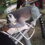 Clinton Betts - @luckybullforb - Instagram