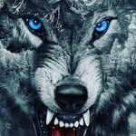 clinton cook - @clintoncook5 - Instagram