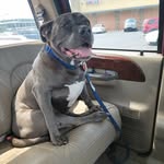 Clinton Cunningham - @ccunningham0226 - Instagram