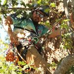 Clinton Curtis - @clinton_c40 - Instagram