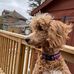 Clinton Edwards - Facebook