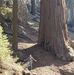 Clinton Eldridge - Facebook