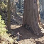 Clinton Eldridge - @clintoneldridge - Instagram