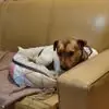 Clinton Elliott - @clinton.elliott4 - TikTok