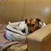 Clinton Elliott - Facebook