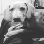 little Clinton Fraser - @fishfinder08 - Instagram