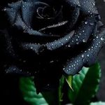 Clinton Gamble - @kindawtf - Instagram