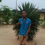 Clinton henry - @clinton_henry - Instagram