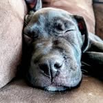 clinton - @clintonhunter4635 - Instagram