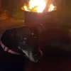 clintoningram973 - @clintoningram973 - TikTok