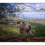Clinton Jenkins - @clintonjenkins66 - Instagram