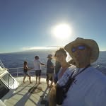 Clint Jensen - @cjtox - Instagram