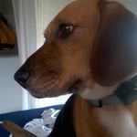 clinton joseph - @obijoseph808 - Instagram