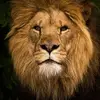 Clinton Joseph - @clinton.joseph - TikTok