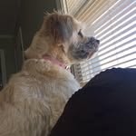 Clinton Long - @clinton.long - Instagram
