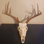Clinton Madison - @clintonmadison73 - Instagram