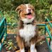 Clinton Maxwell - Facebook