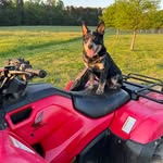 Clinton Mobley - @13_fourwindsfarm - Instagram