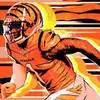 Rosebud - @clinton.rose5 - TikTok
