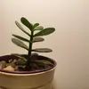 clintonrowe78 - @aesthetics_assthetics - TikTok