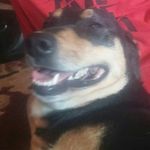 Clinton Smith - @smithclinton2000 - Instagram