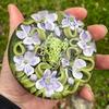 Clinton Smith - @clintonsmithglass - TikTok