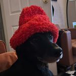 Dwane Steezy - @clinton.smith - Instagram