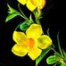 Clinton Warner - Facebook