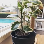 Clinton Wayne - @clintonw481 - Instagram
