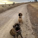 Clinton Weeks - @clintonweeks2019 - Instagram