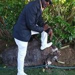 Clinton Wilson - @clinton.wilson.560272 - Instagram