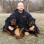 Clinton Wolf - @clintonwolf - Instagram