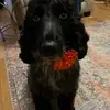 Karma Tarot aka Cliona Murphy - @lunamary71 - TikTok