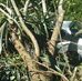 Clive Archer - Facebook