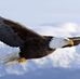 Clive Bell - Facebook