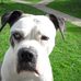 Clive Buckley - Facebook