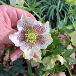Clive Burton - @cliveburton30 - Instagram