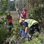Clive Bethell & Marie Clarke - @somerset_hedgelayers - Instagram